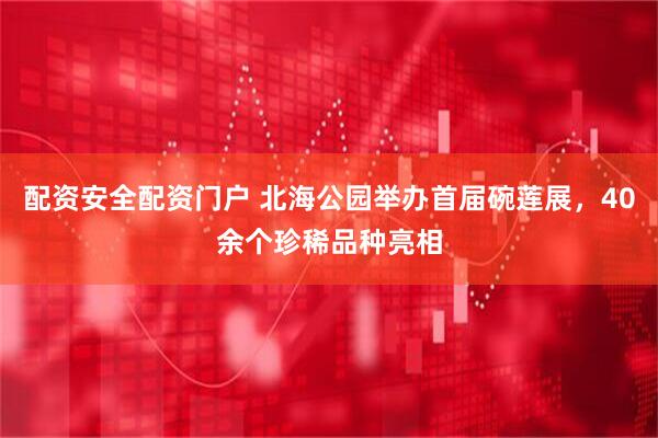配资安全配资门户 北海公园举办首届碗莲展，40余个珍稀品种亮相