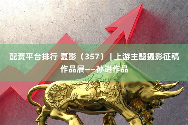 配资平台排行 夏影（357） | 上游主题摄影征稿作品展——孙进作品